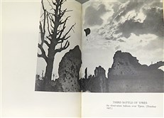 Letters from a Flying Officer (Illustrated Edition)