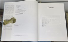 Flying Guns World War I. Development of Aircraft Guns, Ammunition and Installations 1914-32