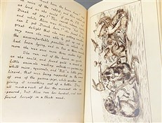 Alice's Adventures Underground