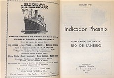 Indicador Phoenix