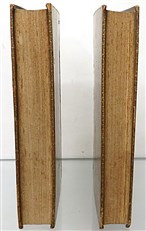 An Essay Concerning Human Understanding (Two Volumes)