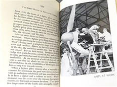 Squadron 303: The Polish Fighter Squadron with the R.A.F.