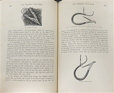 Sport with Gun and Rod in American Woods and Waters