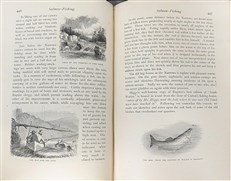 Sport with Gun and Rod in American Woods and Waters