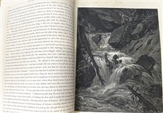 The History of Don Quixote by Cervantes