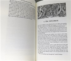 The Lord of the Rings