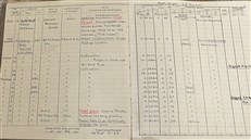 The Alan Curtis Archive: A Life in Documents