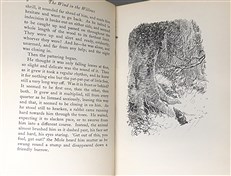 The Wind in the Willows (Illustrated by Ernest H. Shepherd)