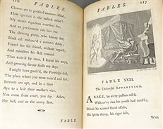 Fables by the late Mr. Gay (2 Volumes)