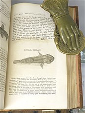 The Complete Angler Or The Contemplative Man's Recreation Bing A Discourse On Rivers, Fish-Ponds, Fish, And Fishing 