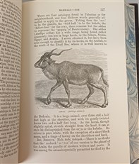 The Natural History of The Bible
