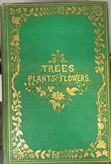 Trees, Plants and Flowers